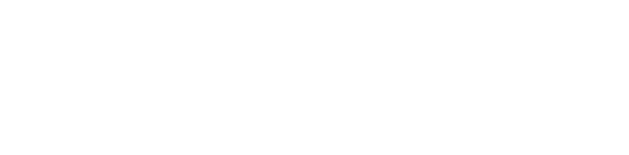 IDS Industrial Logo in white